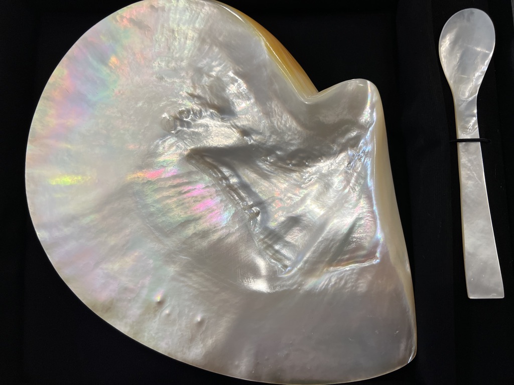 2B835D85-437D-4F8A-8244-F1AB0BE312BF_1_105_c.jpeg Plato forma concha de mar de nácar para caviar y cuchara - Image 1