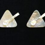 Set 2 platos triangulares y 2 cucharas para caviar de nácar