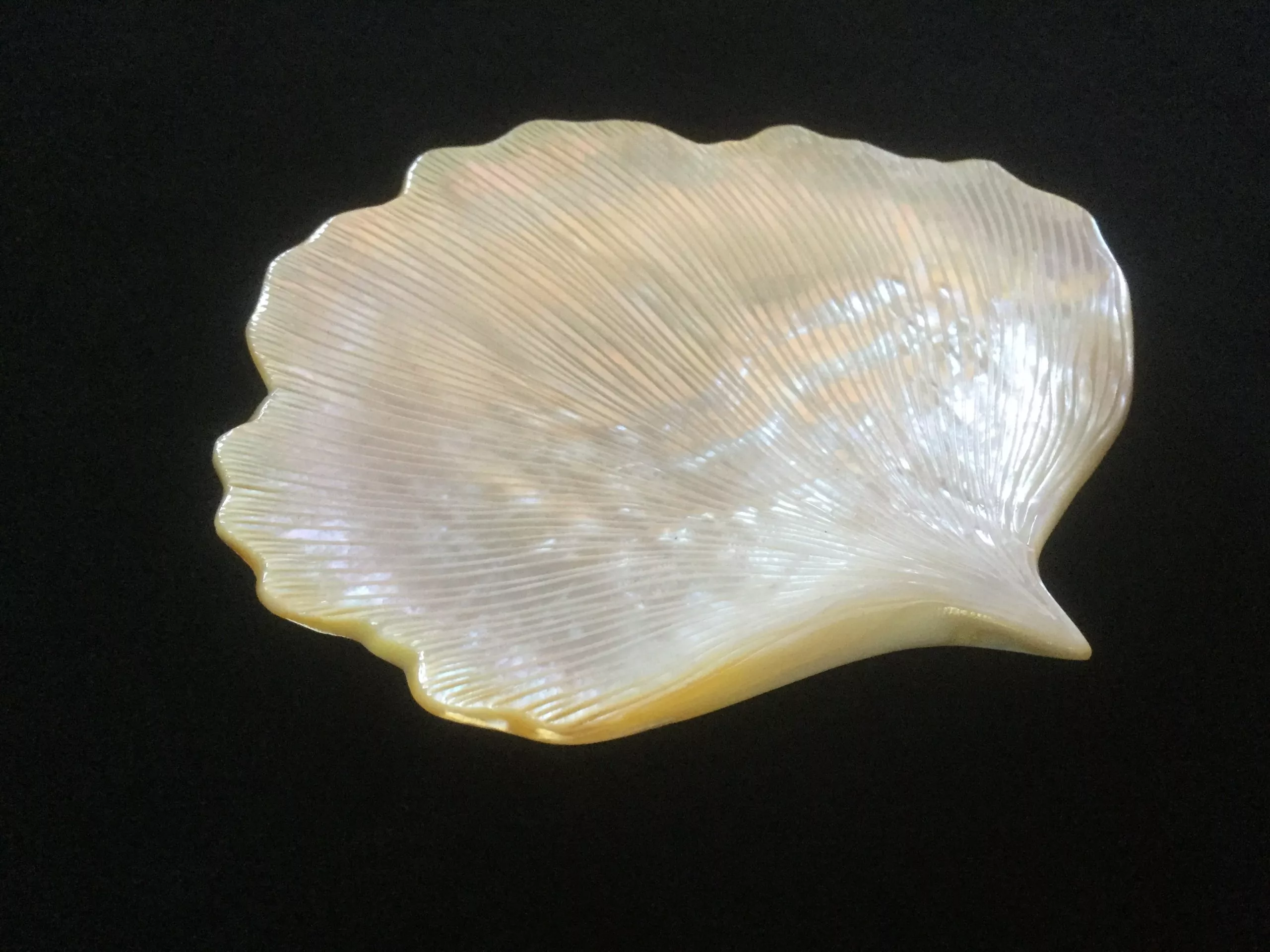 IMG_0790-scaled-1.webp Plato de nácar en forma de hoja de trébol para caviar - Image 1