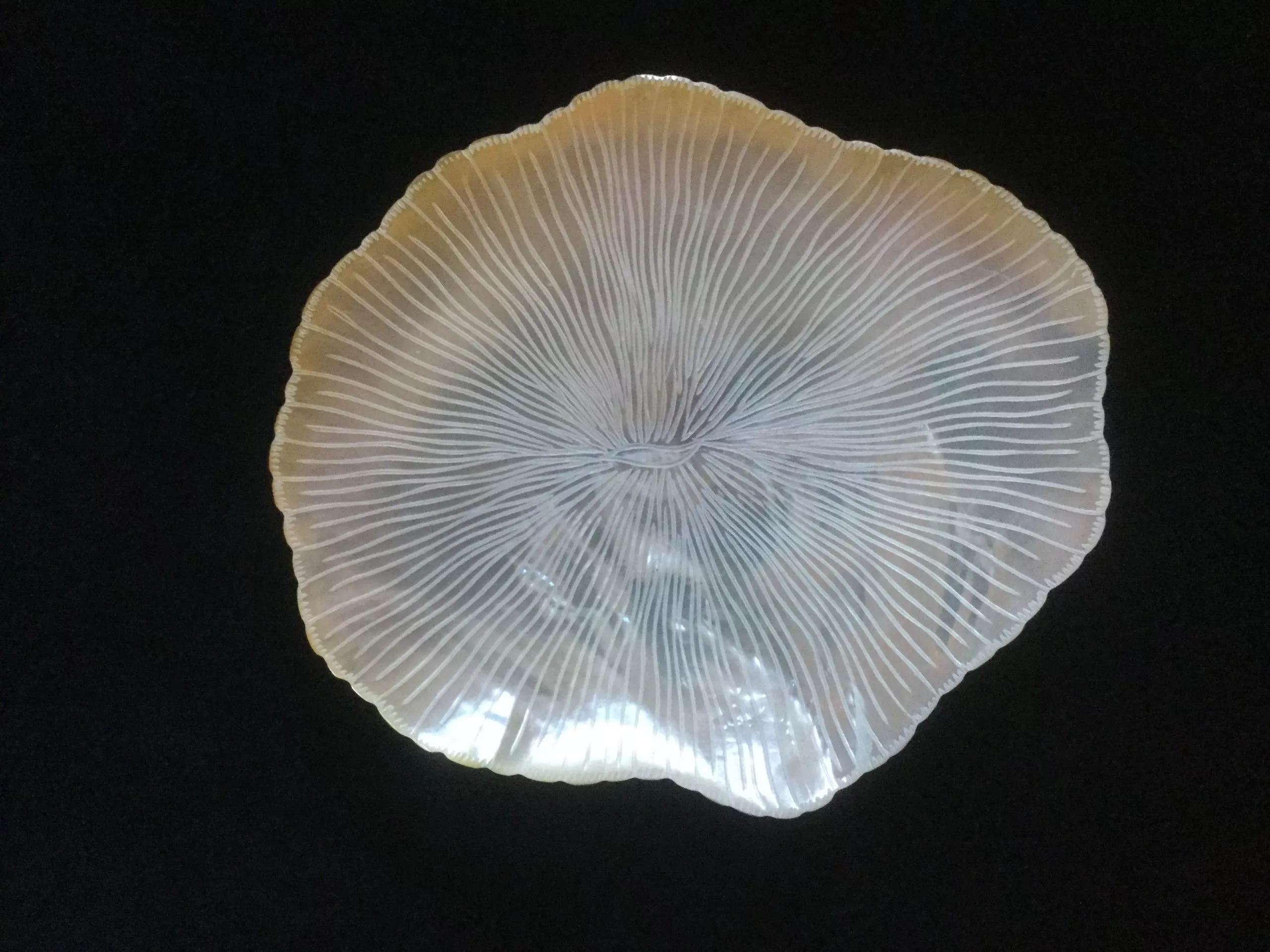 IMG_1104-scaled-1.webp Plato-coral de nácar para caviar - Image 1