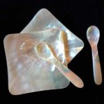 Juego de 2 platos cuadrados de nácar y 2 cuchara de nácar para caviar