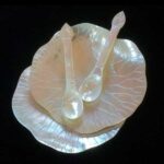 Set 2 platos forma flor de Lotus y 2 cucharas de nácar para caviar