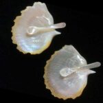 Set Pearl: Conchas de mar de nácar (2u) con dos cucharas de nácar para caviar