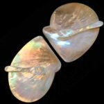 Set nácar: Conchas de mar de nácar (2u) con dos cucharas de nácar para caviar